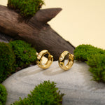 Load image into Gallery viewer, Gold hoop earrings on a stone surface with greenery