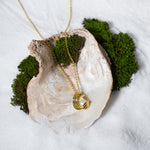 Load image into Gallery viewer, A luxurious product shot of a gold and pearl necklace featuring a sculptural cage pendant. This beautiful piece of contemporary jewellery from Zewory is artistically arranged inside a large seashell on a bed of white sand and moss.