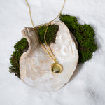Load image into Gallery viewer, A luxurious product shot of a gold necklace featuring an organic, pebble-shaped stone pendant. This beautiful piece of minimalist jewellery from Zewory is artistically arranged inside a large seashell on a bed of white sand and moss.