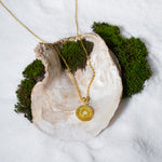 Load image into Gallery viewer, A luxurious product shot of a gold sun medallion necklace from Zewory Jewellery. This beautiful piece of celestial jewellery, with its central stone and textured rays, is artistically arranged inside a large seashell on a bed of white sand and moss.