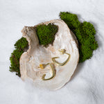 Load image into Gallery viewer, A creative product shot of modern C-shaped gold hoop earrings. The pair is elegantly displayed inside a large seashell, set against a background of soft white sand and vibrant green moss for a luxurious, nature-inspired feel.