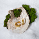 Load image into Gallery viewer, A luxurious product shot of gold croissant-style hoop earrings from Zewory Jewellery. The pair of trendy, twisted hoops are artistically displayed inside a large seashell on a bed of white sand and moss, highlighting their detailed texture.