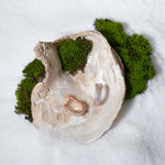 Load image into Gallery viewer, A luxurious product shot of sparkling rose gold pavé hoop earrings from Zewory Jewellery. The pair of elegant, crystal-encrusted huggies are artistically displayed inside a large seashell on a bed of white sand and moss.