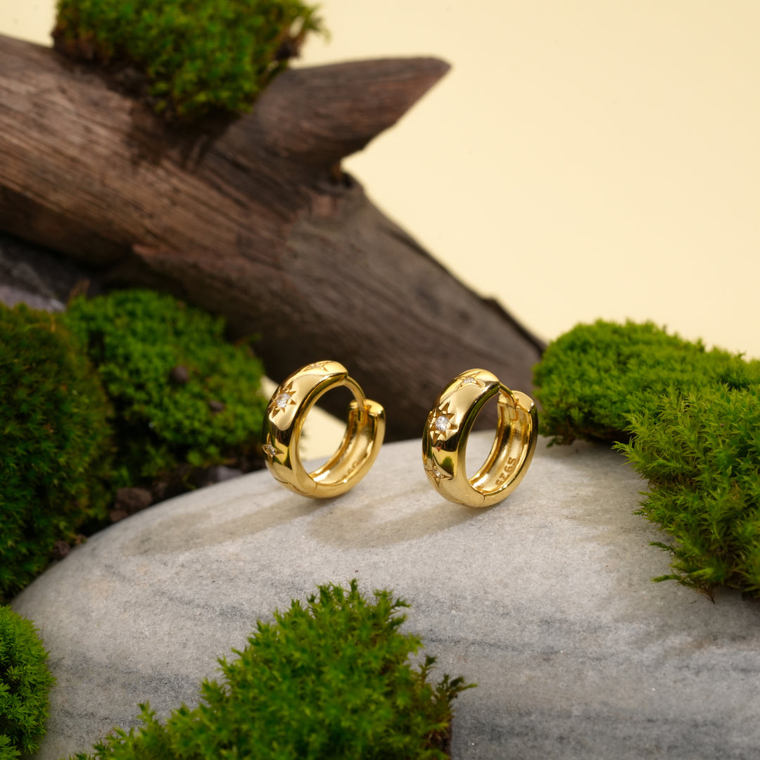 Gold hoop earrings on a stone surface with greenery