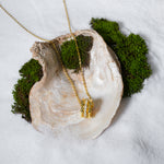 Load image into Gallery viewer, A luxurious product shot of a gold necklace featuring a barrel-shaped pendant with a pavé crystal center. This beautiful piece from Zewory Jewellery is artistically arranged inside a large seashell on a bed of white sand and moss.
