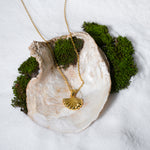 Load image into Gallery viewer, A luxurious product shot of a gold scallop shell necklace from Zewory Jewellery. This beautiful piece of ocean-themed jewellery is artistically arranged inside a large, natural shell on a bed of white sand and moss.
