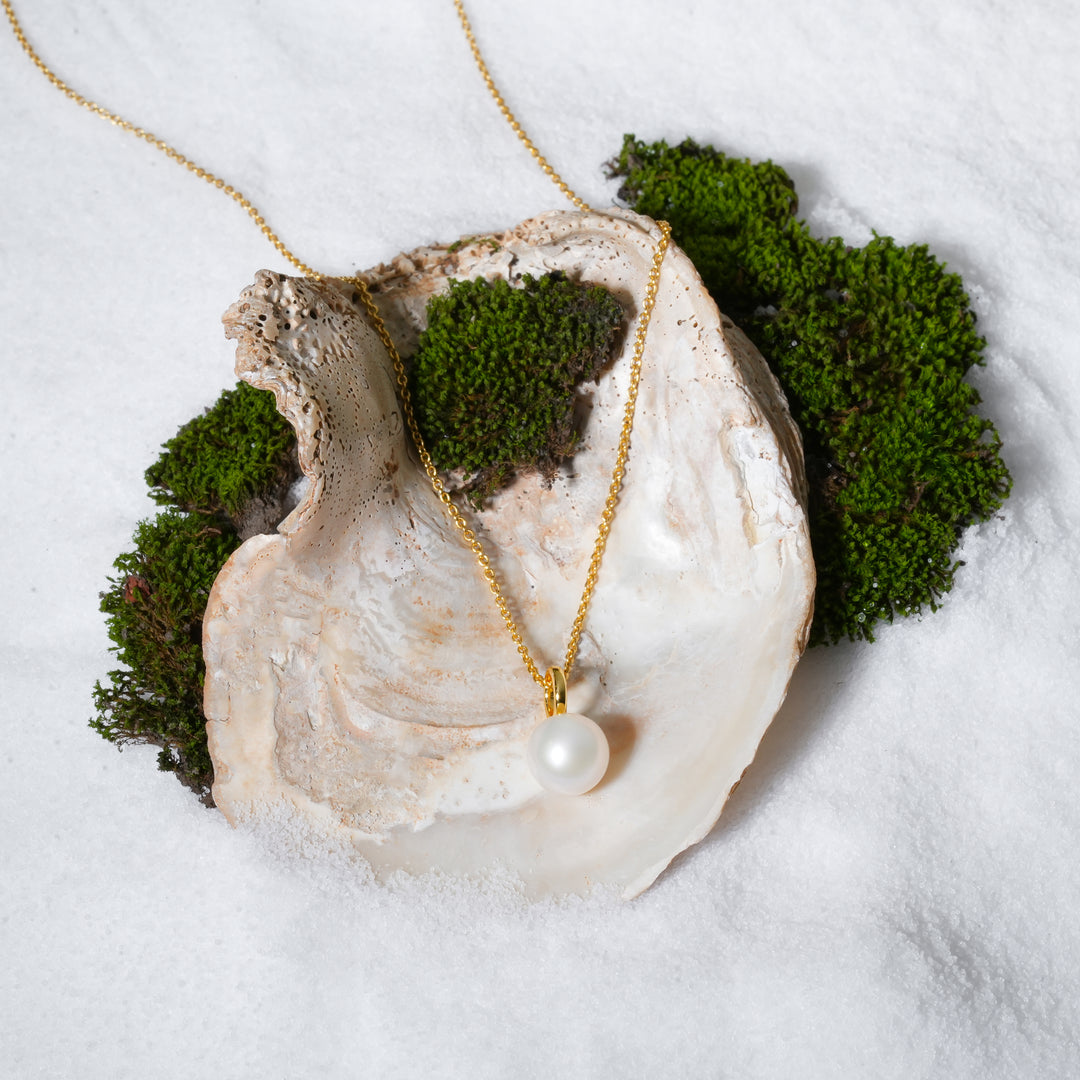 A top-down view of a gold snake chain necklace with a single baroque pearl pendant. The necklace is artistically displayed inside a large seashell resting on a bed of white sand and accented with green moss.