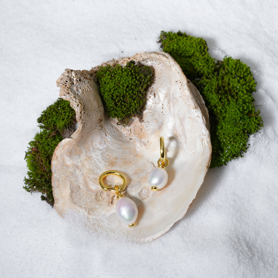 Pearl earrings with gold hooks on a shell surrounded by moss