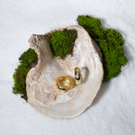 Load image into Gallery viewer, Two gold rings inside an oyster shell with green moss on a white background
