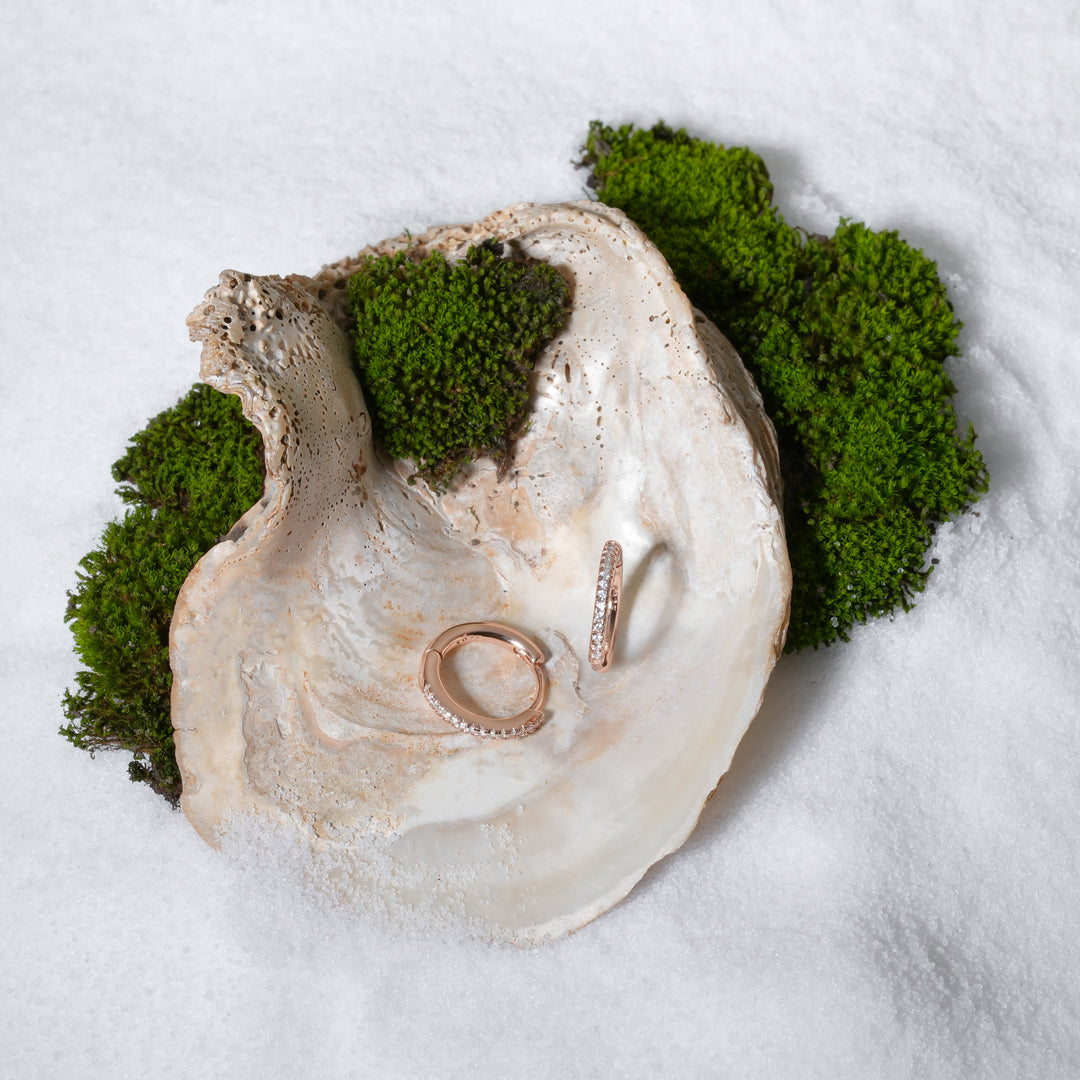 Two rings inside an oyster shell surrounded by green moss on a white background