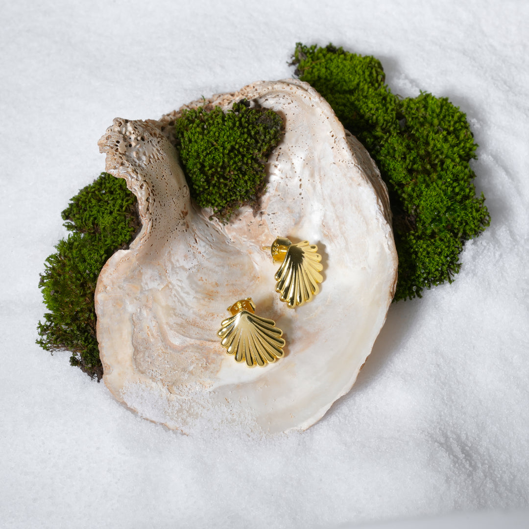 A pair of elegant gold seashell stud earrings from Zewory Jewellery, displayed in a natural setting. The delicate scallop shell studs are placed on a smooth, light-grey stone and surrounded by fresh green moss and weathered wood.