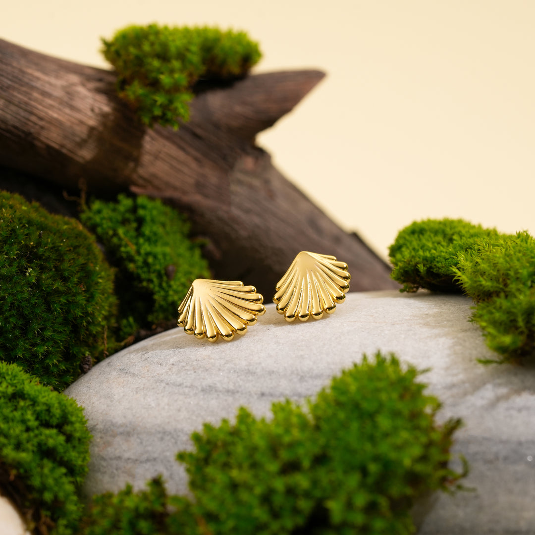 A luxurious product shot of gold scallop shell stud earrings from Zewory Jewellery. This beautiful pair of ocean-themed earrings is artistically displayed inside a large, natural shell on a bed of white sand and moss.