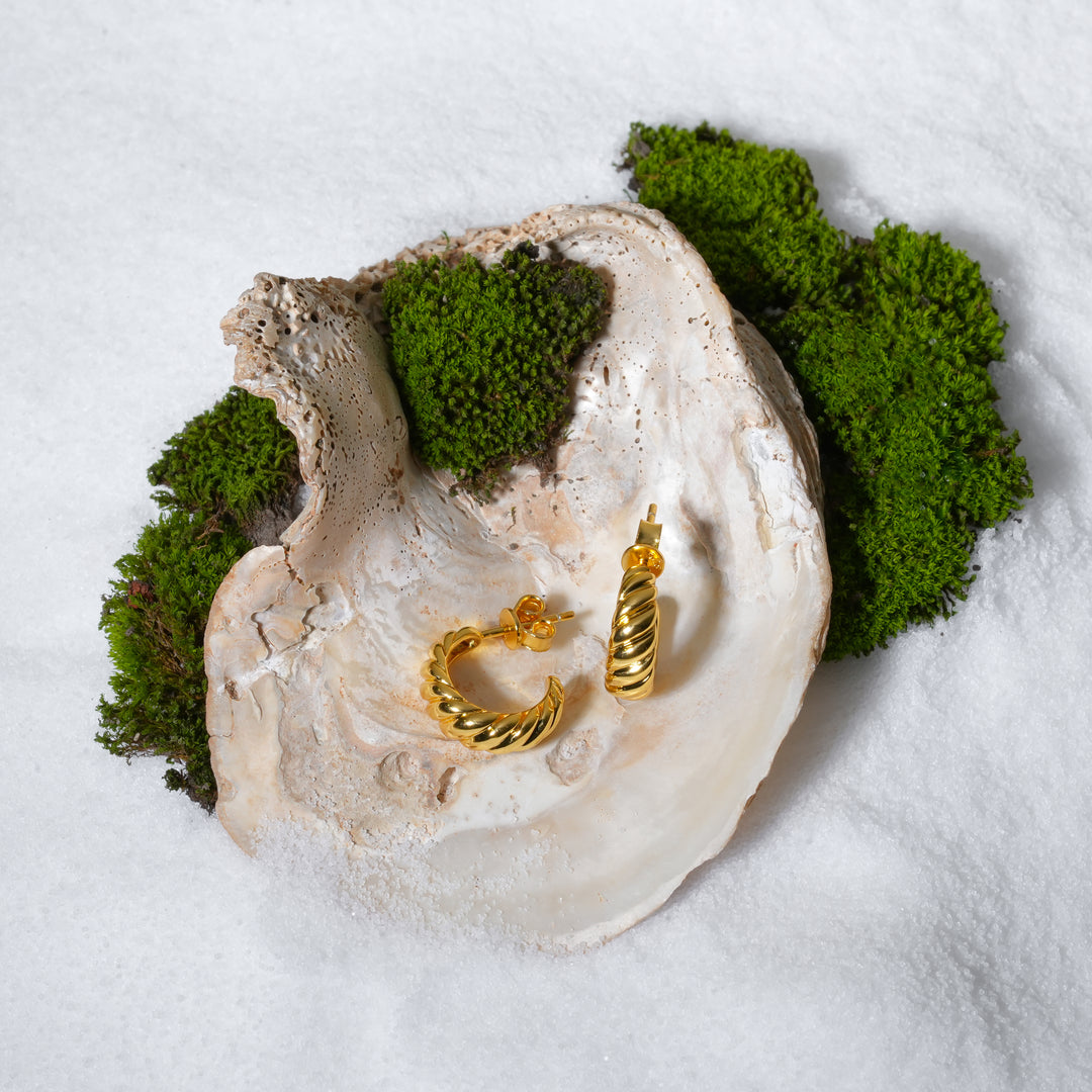A luxurious product shot of gold croissant-style hoop earrings from Zewory Jewellery. The pair of trendy, twisted hoops are artistically displayed inside a large seashell on a bed of white sand and moss, highlighting their detailed texture.