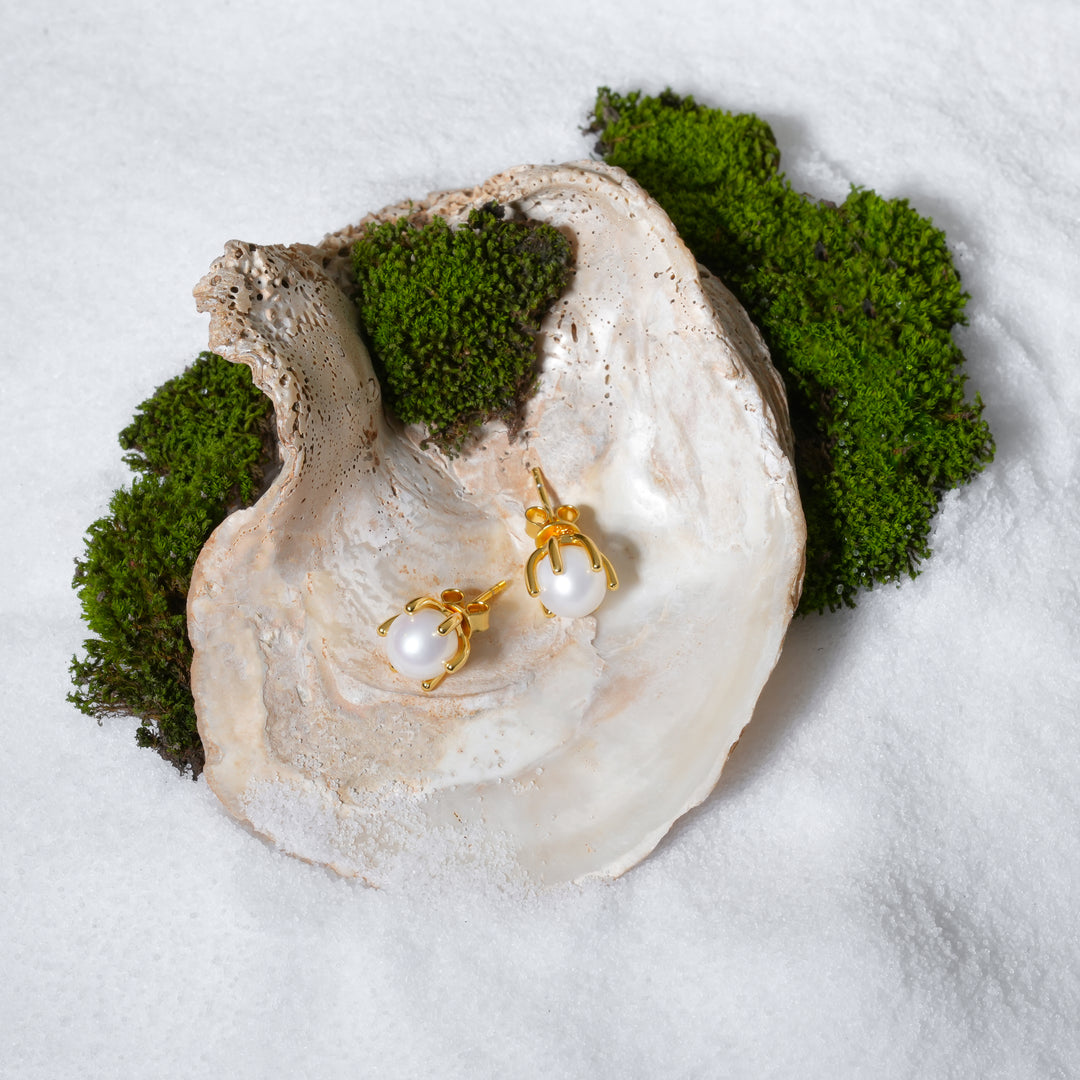 Pair of pearl earrings with gold accents on a white shell surrounded by green moss.