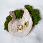 Load image into Gallery viewer, A luxurious product shot of sculptural gold huggie hoop earrings from Zewory Jewellery. The pair of modern, wavy hoops are artistically displayed inside a large seashell on a bed of white sand and moss.
